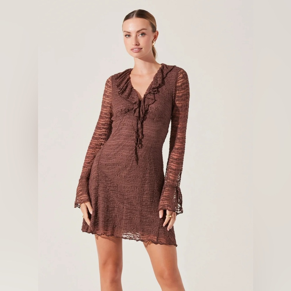 Astr the Label Ruffle Lace Brown Mini Dress NWT